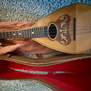 May include: A teardrop-shaped mandolin with a light wood body, a dark fretboard, and a decorative brown pickguard featuring gold filigree patterns. The instrument includes a silver-toned tailpiece and is accompanied by a brown hardshell case.