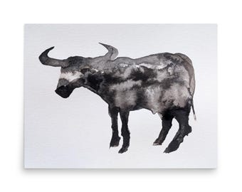 Koe 1 - Kunstprint