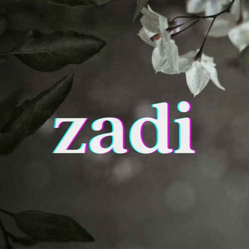 Etsy profile picture for @zadi