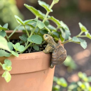May include: A small brown turtle figurine with a textured shell and detailed head, perched on the rim of a terracotta-colored plant pot. The turtle is positioned as if climbing over the edge, with its front legs resting on the top rim.