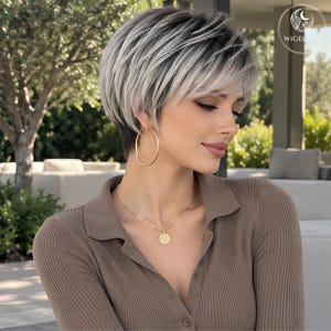 May include: A short, layered wig featuring a mix of dark roots and silver-white hair strands. The style includes side-swept bangs and textured layers. A circular logo with the text WIGELINE is visible in the upper right corner of the image.