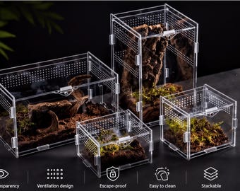 Reptielenterrarium: Doorzichtig klein verblijf (voor gekko's, spinnen en insecten)