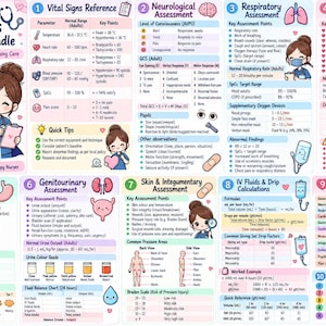 May include: A nursing essentials printable bundle featuring ten sections of medical reference charts. The document includes vital signs, neurological, respiratory, cardiovascular, gastrointestinal, genitourinary, skin, IV fluid, and ISBAR assessment guides.
