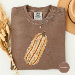 Peut inclure: Un t-shirt à col rond marron avec une étiquette Comfort Colors à l'intérieur du col. Le devant présente une illustration graphique d'une citrouille allongée et rayée dans des tons verts et orange. Un collier argenté avec une étoile est posé dessus.