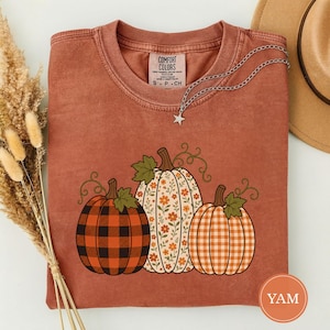 May include: A rust-coloured short-sleeve t-shirt featuring a graphic of three pumpkins. The left pumpkin has a black and orange buffalo check pattern, the centre has a floral print, and the right has an orange and white gingham pattern.