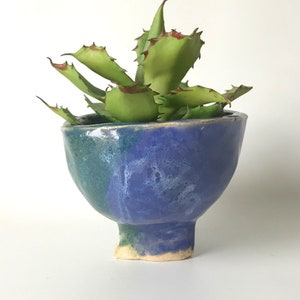 May include: A small, blue and green ceramic planter with a spiky green succulent plant inside.