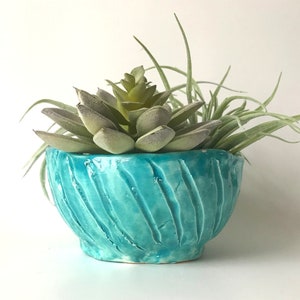 May include: A teal ceramic planter with a textured swirl design, holding a green succulent plant.