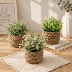 May include: Three small artificial plants in round pots wrapped in thick, natural-coloured jute rope. Each pot contains a different variety of green foliage, with one featuring light sage leaves and two displaying vibrant green, pointed leaves.