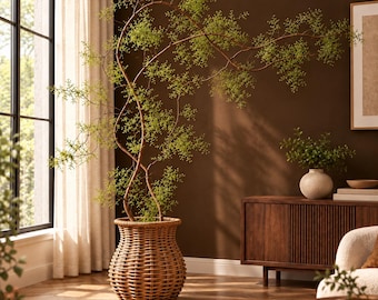 May include: A tall, slender plant with thin, winding brown branches and small, delicate green leaves, housed in a round, woven wicker basket planter. The plant features an organic, arching shape that extends outward from the base.