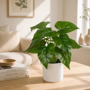 Artificial Philodendron Plant, White Pot, Faux Green Houseplant, Modern Desk Decor