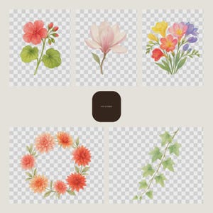 Puede incluir: Una colección digital de ilustraciones botánicas en acuarela que presenta un tallo de geranio rojo, una flor de magnolia rosa pálido, un ramo de fresias coloridas, una corona circular de dalias en tonos naranja y rojo, y una enredadera de hiedra verde.