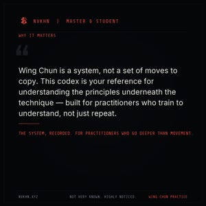 Wing Chun Guide PDF | Principles Techniques + Training System | Martial Arts Digital Download image 3