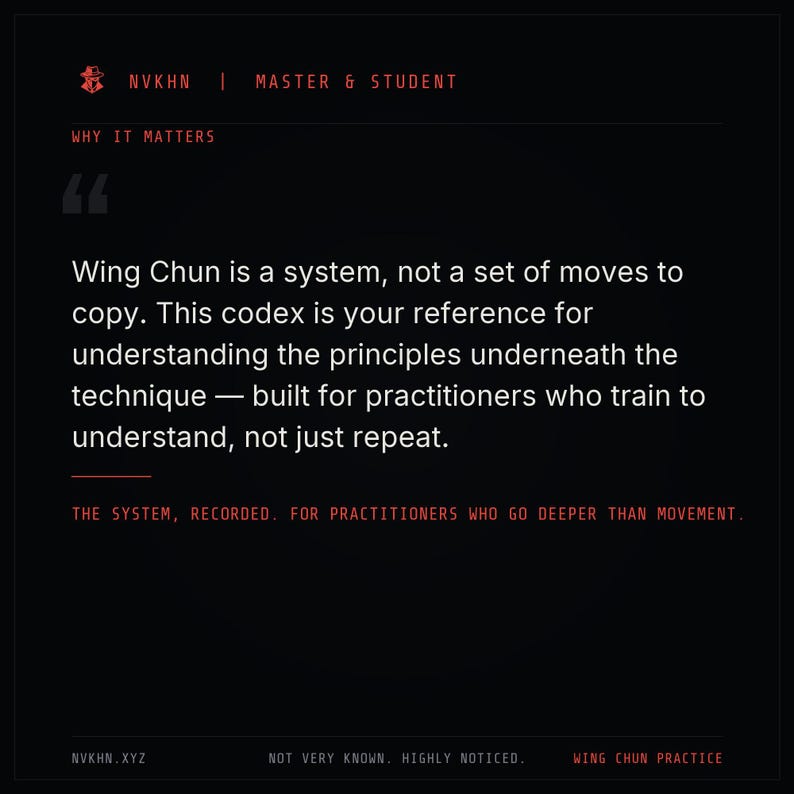 Wing Chun Guide PDF | Principles Techniques + Training System | Martial Arts Digital Download image 3