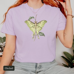 Luna Moth Shirt, Comfort Colors® Vintage Moth Tee, Dark Academia Insect Tshirt, Cottagecore Botanical Tee, Moth Lover Gift
