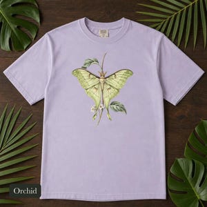 Luna Moth Shirt, Comfort Colors® Vintage Moth Tee, Dark Academia Insect Tshirt, Cottagecore Botanical Tee, Moth Lover Gift