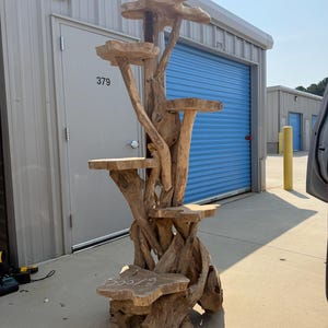 May include: A tall, multi-level cat tree constructed from natural, light brown driftwood. The structure features several flat, circular platforms arranged at varying heights, supported by a complex, organic base of intertwined wooden branches.
