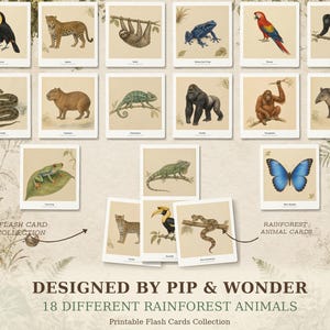 May include: A collection of 18 square flash cards featuring illustrations of rainforest animals including a toucan, jaguar, sloth, frog, parrot, monkey, snake, capybara, chameleon, gorilla, orangutan, tapir, and butterfly with text labels.