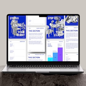 Peut inclure: Un écran d'ordinateur portable affichant un document numérique avec des pages bleues et blanches. Le contenu présente des titres comme STEP 01 KNOW YOUR CLIENT, STEP 02 ASSESS YOUR CLIENT et REPEAT, ainsi que des graphiques et des textes explicatifs.