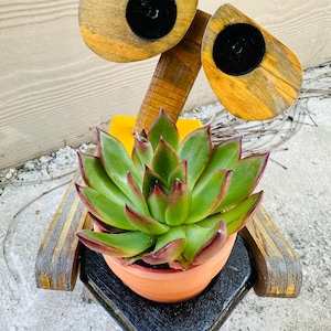 Jardinière intérieure/extérieure en bois fabriquée à la main inspirée de Wall-E