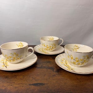 May include: Three cream-colored porcelain teacups and matching saucers, each featuring a delicate yellow floral branch pattern and a thin gold rim. The saucers have a scalloped edge design, and the cups have a rounded handle on the side.