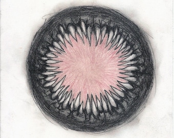 Langolier, Stephen King, Original Drawing, Sketch Pad, Sketches, Divine Mania