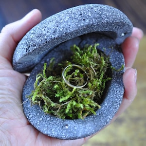 May include: A gray, textured, stone-like circular ring box with a hinged lid. The interior is filled with vibrant green moss, which cradles a simple, thin, gold-colored metal band. The container has a speckled, rough surface finish.