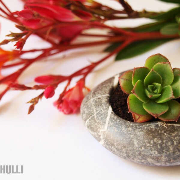 relax gardening - flowerpot - hand engraved beach stone flower planter - simple zen design - zen garden relax