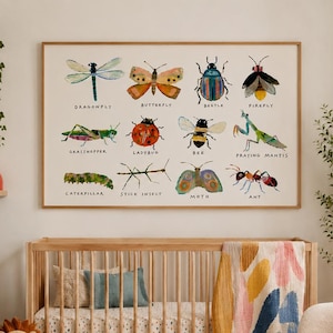 Könnte beinhalten: Ein rechteckiger Wandkunstdruck mit zwölf farbenfrohen Insektenillustrationen und Beschriftungen wie Libelle, Schmetterling, Käfer, Glühwürmchen, Heuschrecke, Marienkäfer, Biene, Gottesanbeterin, Raupe, Stabheuschrecke, Motte und Ameise in einem Holzrahmen.