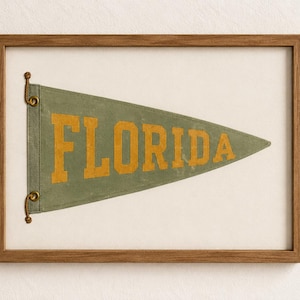 May include: A triangular olive green felt pennant featuring the word FLORIDA in bold yellow block letters, secured with two small brass rings on the left side, displayed inside a rectangular wooden frame against a light off-white background.