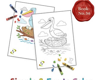 Birds our Friends Coloring Book Vol.34 - Pelican, 36 Printable Pages + Color Legend, Ages 3-6, Instant Download PDF