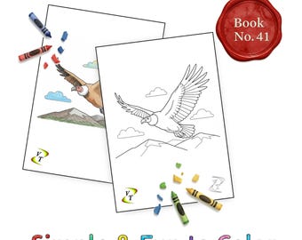 Birds our Friends Coloring Book Vol.41 - Condor, 36 Printable Pages + Color Legend, Ages 3-6, Instant Download PDF