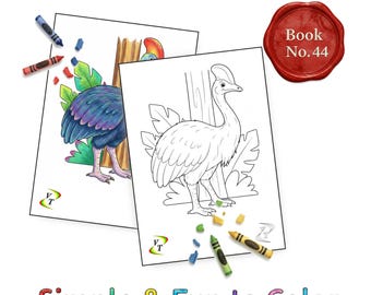 Birds our Friends Coloring Book Vol.44 - Cassowary, 36 Printable Pages + Color Legend, Ages 3-6, Instant Download PDF