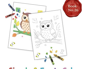 Birds our Friends Coloring Book Vol.26 - Owl, 36 Printable Pages + Color Legend, Ages 3-6, Instant Download PDF