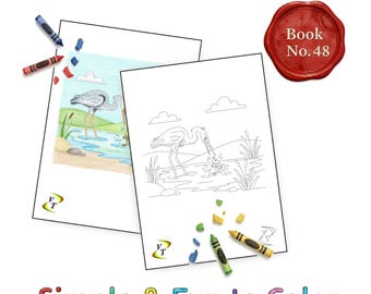Birds our Friends Coloring Book Vol.48 - Heron, 36 Printable Pages + Color Legend, Ages 3-6, Instant Download PDF
