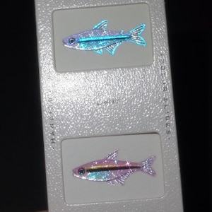 May include: A white rectangular card featuring two fish-shaped stickers with a holographic finish. The top fish is blue and the bottom fish is pink. The card includes the text CUSTOMIZED, LIGHT, HANDCRAFTED COLOR SLIDES, and COLLECT MEMORIES.