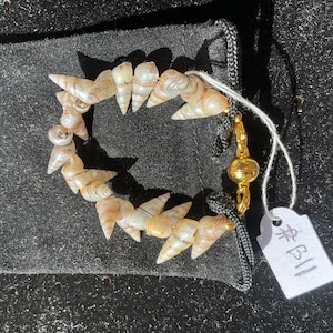 Puede incluir: Una pulsera hecha de pequeñas conchas marinas iridiscentes en forma de cono ensartadas. La pulsera cuenta con un cierre magnético de tono dorado y detalles de cordón negro. Una pequeña etiqueta de papel blanco con el texto escrito a mano #B11 está unida al cierre.