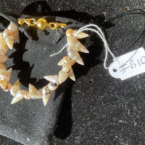 May include: A bracelet made of small, spiraled, tan-coloured seashells strung together. The bracelet features a gold-toned metal lobster claw clasp attached to black cord ends. A small white paper tag with the handwritten text #B10 is attached.