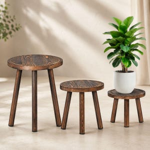 Può includere: Un set di tre sgabelli rotondi in legno con una finitura scura in legno bruciato e venature visibili. Ogni sgabello è dotato di tre gambe cilindriche. Una pianta a foglie verdi in un vaso di ceramica bianco poggia sullo sgabello più piccolo.