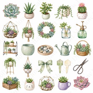 Puede incluir: Una colección de ilustraciones en acuarela que muestran varias suculentas en macetas, maceteros colgantes, terrarios de vidrio, una corona, una regadera, una cesta, un lazo, etiquetas para plantas y tijeras de metal, en tonos suaves verdes, rosas y morados.