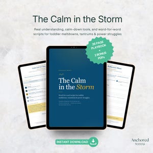 Op de afbeelding: Een digitale gids getiteld The Calm in the Storm met een werkboek van 26 pagina's en 2 bonus-pdf's. De omslag is donkerblauw met witte en gele tekst. Twee extra tabletschermen tonen een spiekbriefje en een reflectieblad.