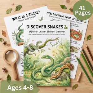 Könnte beinhalten: Ein 41-seitiges pädagogisches Aktivitätsbuch mit dem Titel Discover Snakes mit Illustrationen von grünen und braunen Schlangen in einer Waldumgebung. Das Cover enthält den Text Explore, Learn, Slither, Discover und Meet amazing snakes and discover how they live.