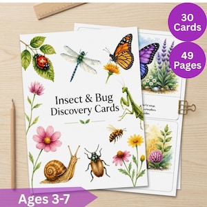 May include: A set of Insect & Bug Discovery Cards featuring watercolour illustrations of a ladybird, dragonfly, monarch butterfly, praying mantis, bee, snail, and beetle among flowers. The cover text reads Insect & Bug Discovery Cards. Includes 30 cards, 49 pages, and is labelled for ages 3-7.