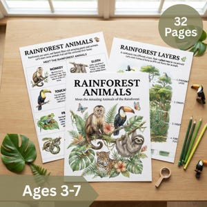Könnte beinhalten: Ein 32-seitiges pädagogisches Aktivitätsbuch mit dem Titel Rainforest Animals: Meet the Amazing Animals of the Rainforest, das Illustrationen eines Affen, Tukans, Frosches, Faultiers und Leoparden zwischen tropischen Blättern und Blüten zeigt.
