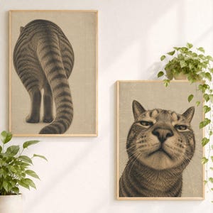 May include: Two framed wall art prints featuring a tabby cat. The left print shows the cat from behind, displaying its striped back and tail. The right print shows a close-up of the cat's face from a low angle, focusing on its nose and eyes.