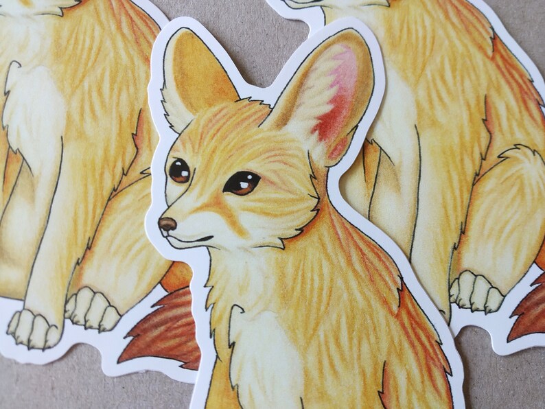 Fennec Fox Vinyl Sticker Fox Sticker Animal Sticker Cute Etsy
