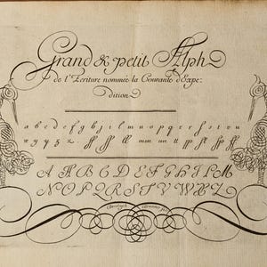 May include: A vintage print featuring black ink calligraphy on aged paper. The text reads Grand & petit Alph de l'Ecriture nomm&eacute;e la Courante d'Expe: dition. It displays lowercase and uppercase cursive letters flanked by two stylized bird illustrations.