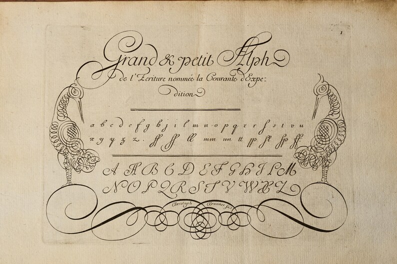 May include: A vintage print featuring black ink calligraphy on aged paper. The text reads Grand & petit Alph de l'Ecriture nomm&eacute;e la Courante d'Expe: dition. It displays lowercase and uppercase cursive letters flanked by two stylized bird illustrations.