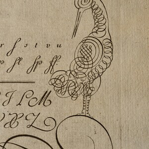 May include: A black ink illustration on aged paper featuring a bird formed from intricate calligraphic flourishes and swirls. The bird stands atop a large circular loop, surrounded by partial handwritten alphabet letters including r, s, t, v, u, J, L, M, and Z.