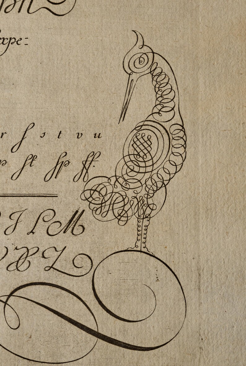 May include: A black ink illustration on aged paper featuring a bird formed from intricate calligraphic flourishes and swirls. The bird stands atop a large circular loop, surrounded by partial handwritten alphabet letters including r, s, t, v, u, J, L, M, and Z.
