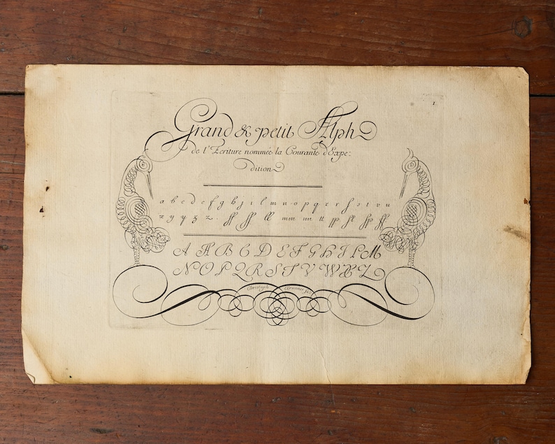 May include: A rectangular off-white paper sheet featuring black ink calligraphy. The text reads Grand & petit Alph de l'Ecriture nomm&eacute;e la Courante d'Expe. It displays lowercase and uppercase cursive letters flanked by two ornate bird illustrations.